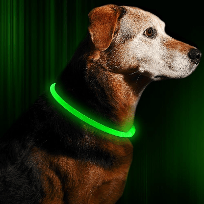 Collier Chien - DogCollarLight™ - Vert 