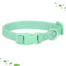 collier chien FancyDog vert