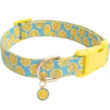 collier chien Frutty Splash bleu citronné