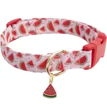 collier chien Frutty Splash rouge pastèque