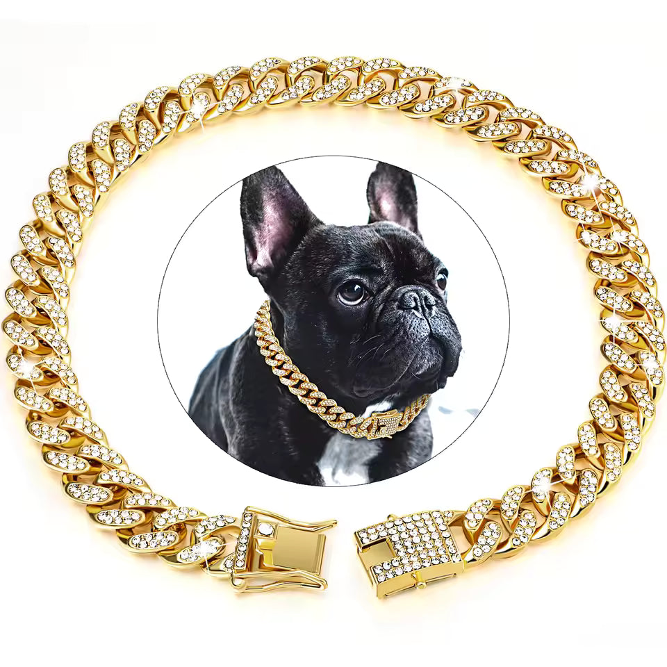  collier chien Spark medallion