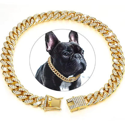  collier chien Spark medallion