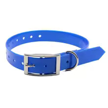 collier chien trendy bleu