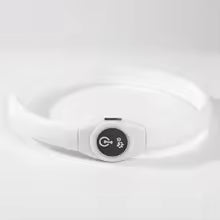 collier lumineux chien NightSafe blanc