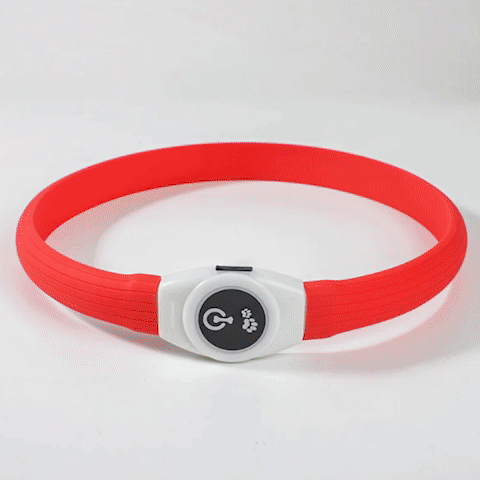 collier-lumineux-chien-nightsafe-gif