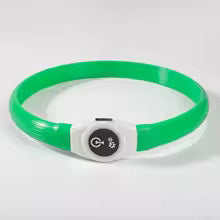 collier lumineux chien NightSafe vert