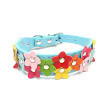 collier pour chien fleurs bleu
