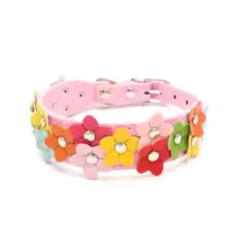 collier pour chien fleurs rose
