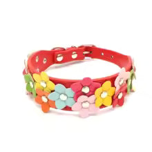 collier pour chien fleurs rouge

