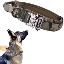 collier pour chien tactique camouflage