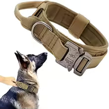collier pour chien tactique kaki