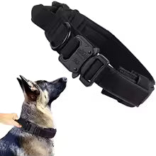 collier pour chien tactique noir