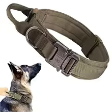 collier pour chien tactique vert