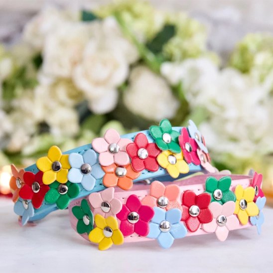 collier spour chien fleurs
