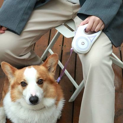 Corgi au pied avec laisse chien enrouleur ErgoConfort