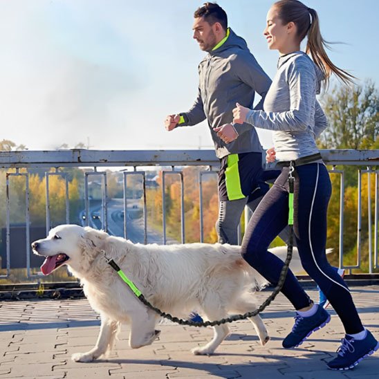 couple jogging  avec chien portant laisse canicross Elastic Run