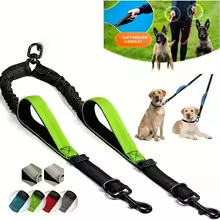 double laisse pour chien anti-enchevetrement 360-vert