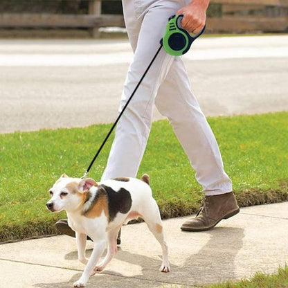  en ville balade avec chien  portant laisse pour chien FreedomFlex
