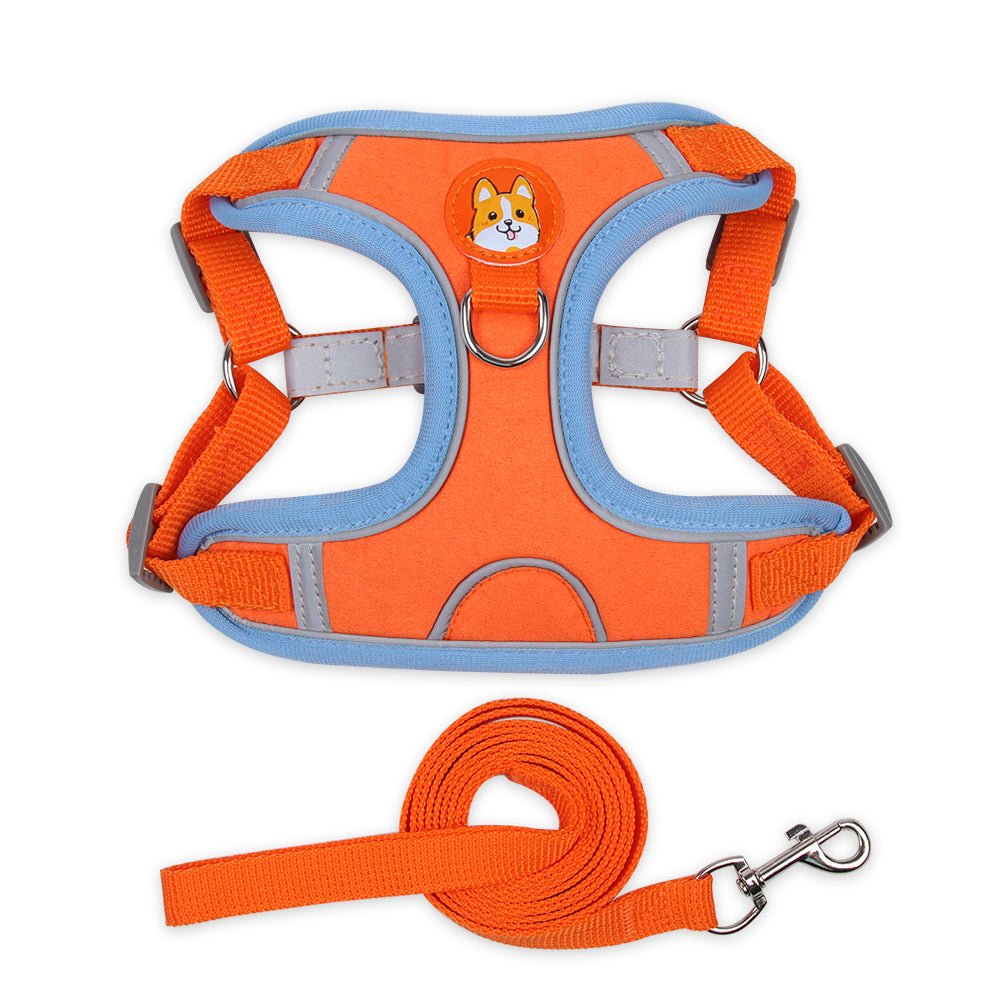 ensemble harnais pour chien DogJoy orange