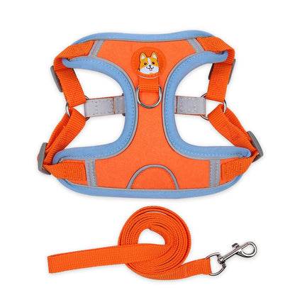 ensemble harnais pour chien DogJoy orange