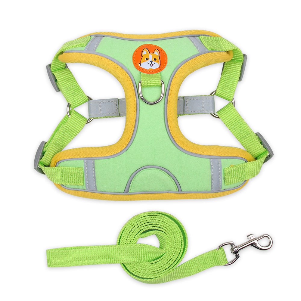 ensemble harnais pour chien DogJoy vert