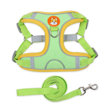 ensemble harnais pour chien DogJoy vert