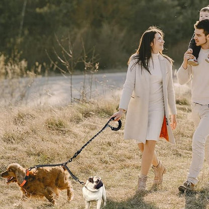 famille balade chiens portant laisses pour chiens
