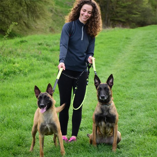 femme balade 2 Malinois avec double laisse pour chien