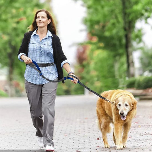femme balade chien portant laisse canicross Ergo Run