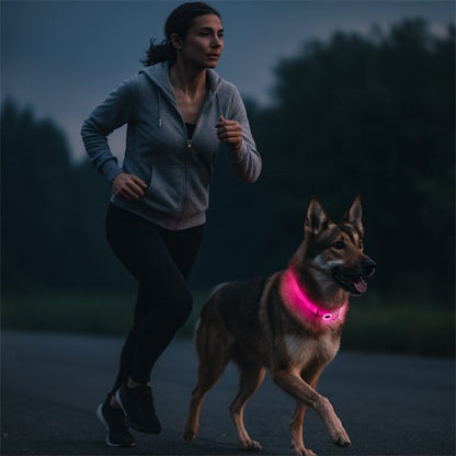femme court avec Berger portant collier lumineux chien NightSafe