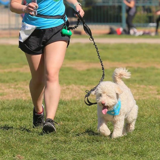 femme court avec chien portant laisse canicross Elastic Run