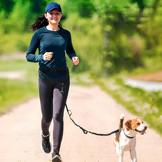 femme court avec chien portant laisse canicross Elastic Run