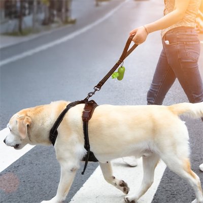 femme traverse avec chien portant laisse de chien Ergo-Comfort
