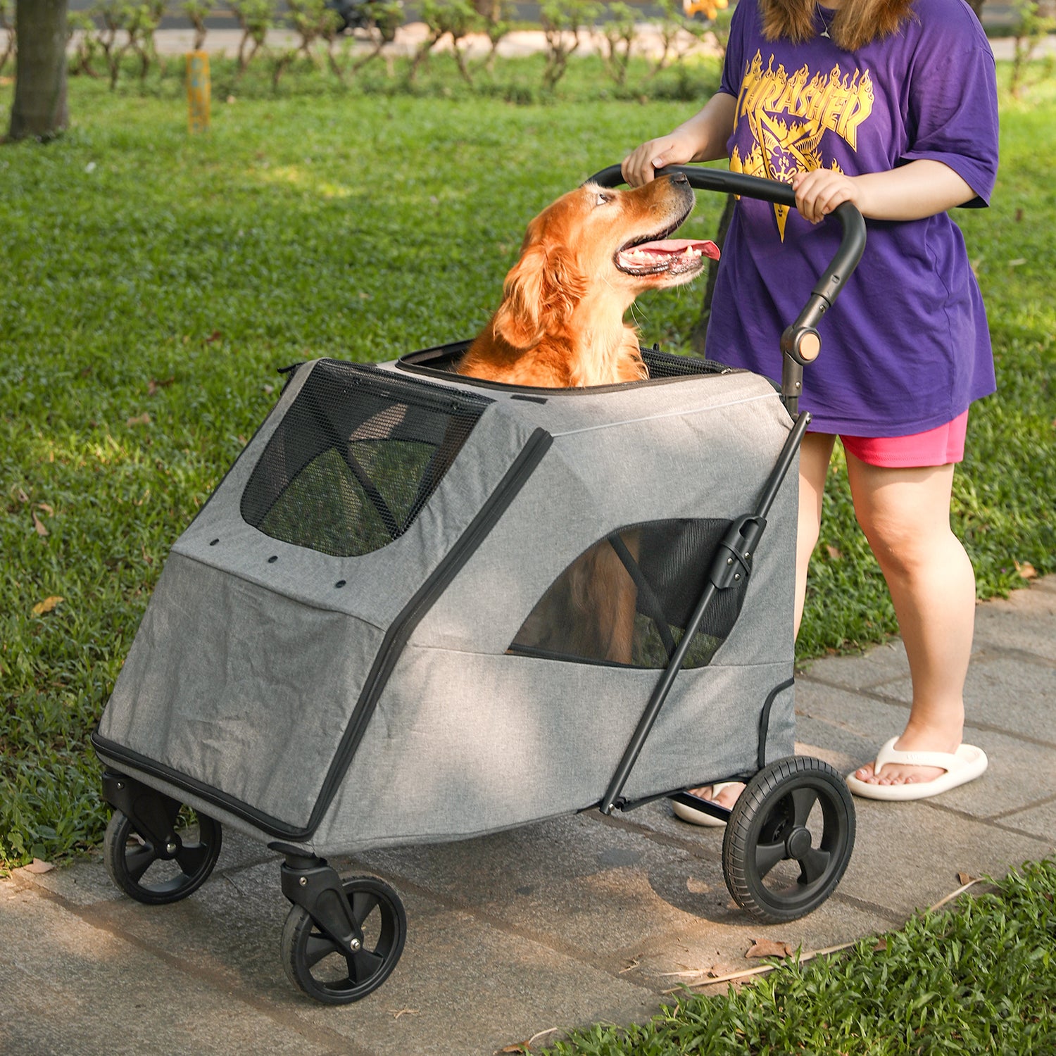 fille balade chien dans poussette à chien LargePetStroller