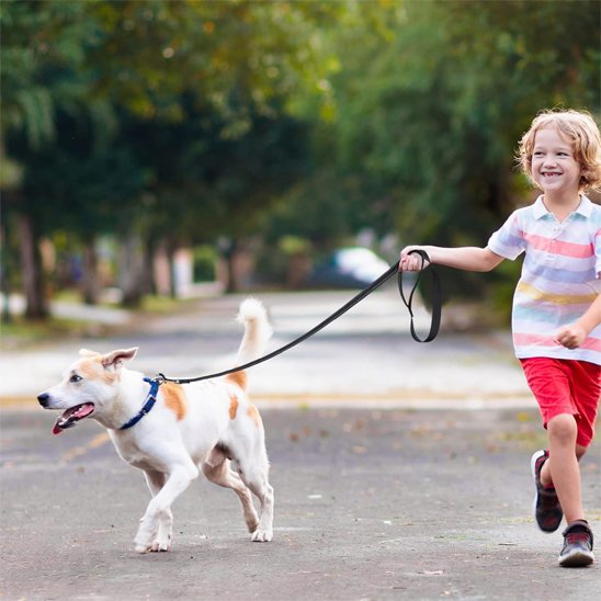 fillette balade chien portant laisse pour chien ErgoPro