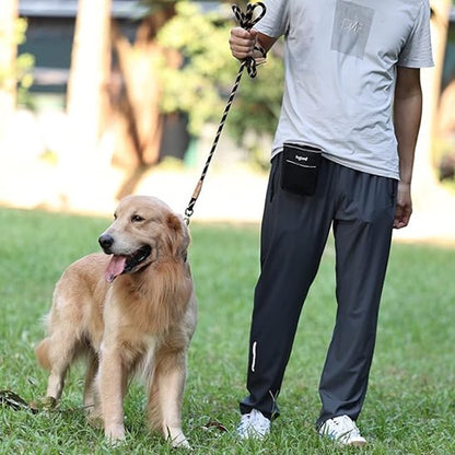 Golden Retriever au pied portant laisse chien Ergotress