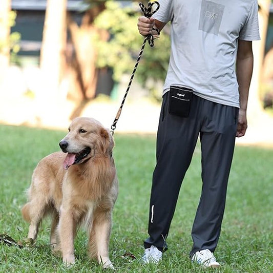 Golden Retriever au pied portant laisse chien Ergotress