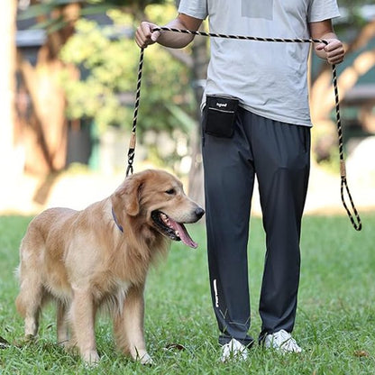 Golden Retriever entrainement portant laisse chien Ergotress