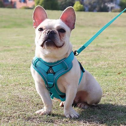 Harnais anti traction pour chien avec laisse bleu