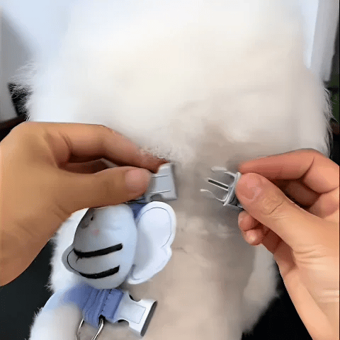 harnais chien abeille GIF