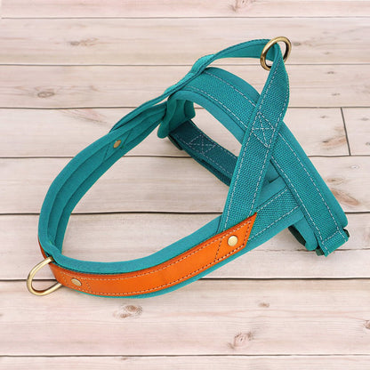harnais chien anti traction-bleu
