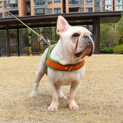 Harnais chien anti traction doux bulldog
