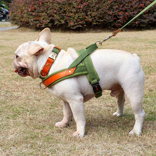 Harnais chien anti traction doux  vert