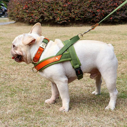 Harnais chien anti traction doux  vert