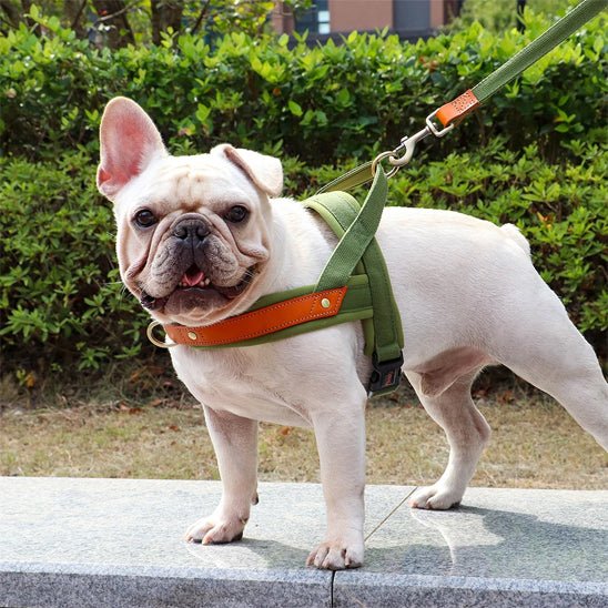 Harnais chien anti traction  doux 