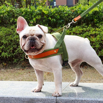 Harnais chien anti traction  doux 
