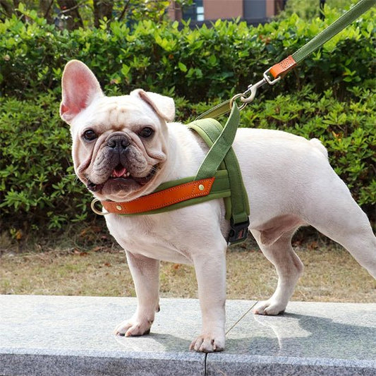 Harnais chien anti traction  doux 
