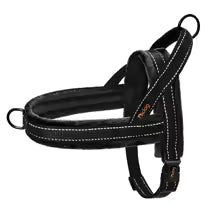 harnais chien anti traction-noir