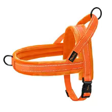 harnais chien anti traction-orange