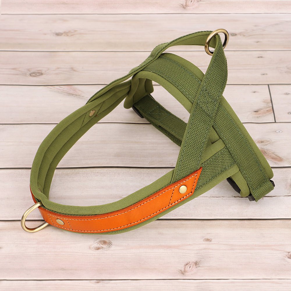 harnais chien anti traction-vert